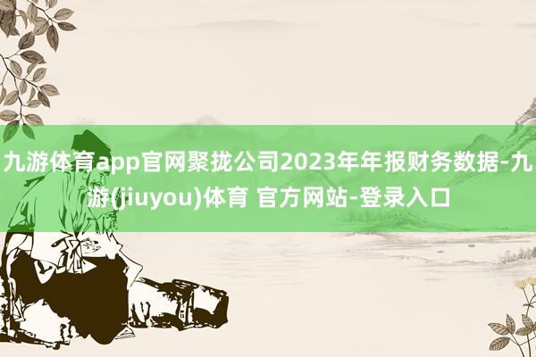 九游体育app官网聚拢公司2023年年报财务数据-九游(jiuyou)体育 官方网站-登录入口