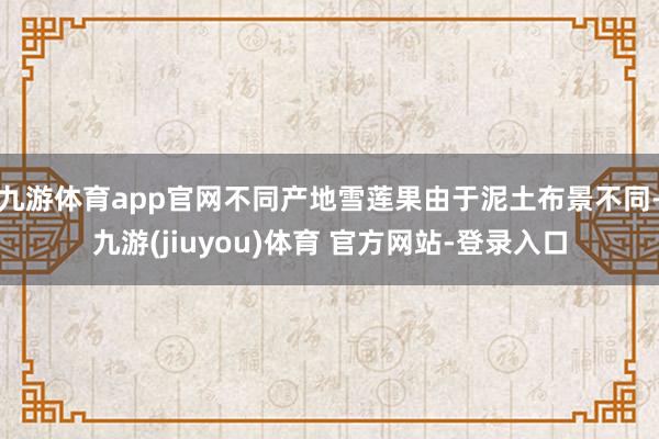 九游体育app官网不同产地雪莲果由于泥土布景不同-九游(jiuyou)体育 官方网站-登录入口