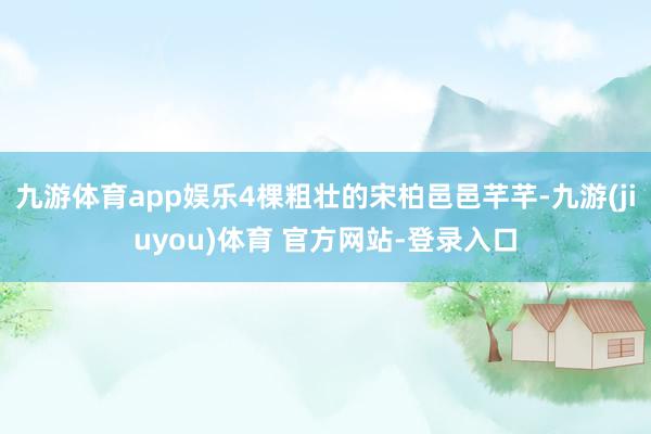 九游体育app娱乐4棵粗壮的宋柏邑邑芊芊-九游(jiuyou)体育 官方网站-登录入口