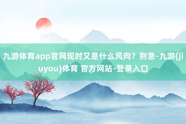 九游体育app官网现时又是什么风向？别急-九游(jiuyou)体育 官方网站-登录入口